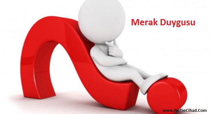 İnsanlarda Merak Duygusu