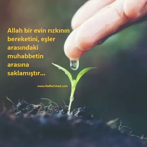 Bereketli Kazancın Sırrı Nedir?