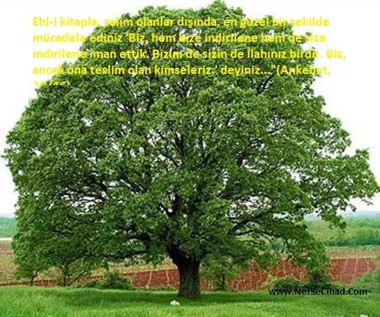 Emri Bil Maruf Nehyi Anil Münker Nedir